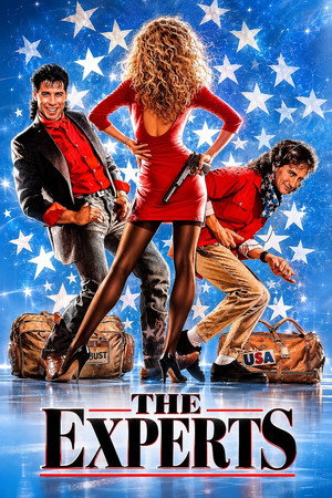 Image The Experts