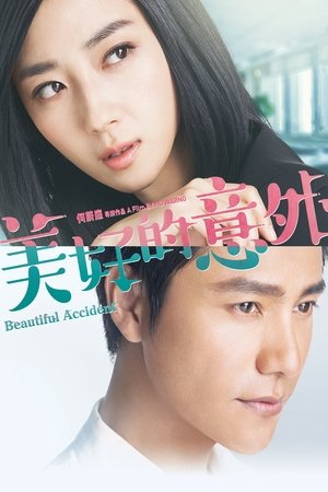 Nonton Drama Korea Beautiful Accident (2017)