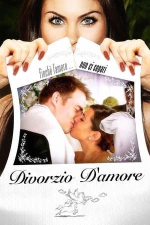 Poster Divorzio d'amore 2012