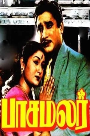 Pasamalar poster