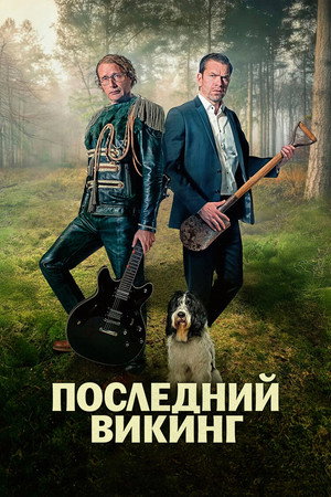 poster The Last Viking