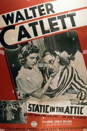 Static in the Attic poster