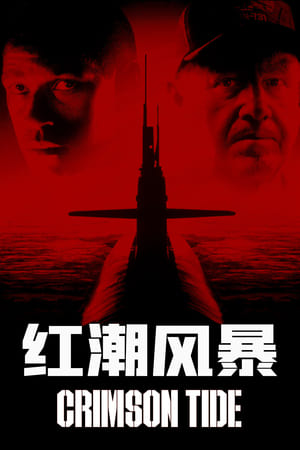 Poster 红潮风暴 1995
