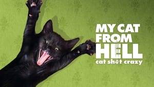 poster My Cat from Hell