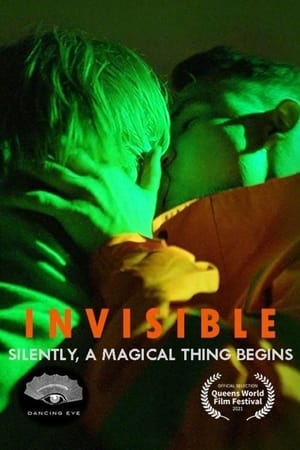 Poster Invisible (2021)