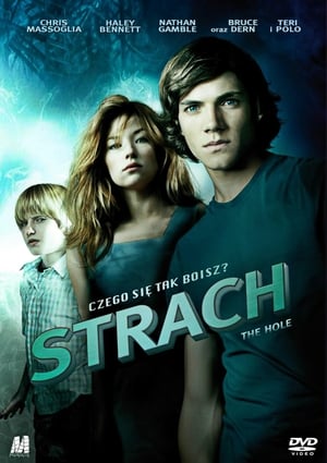 Poster Strach 2009