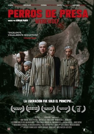 Wilkołak (2019)