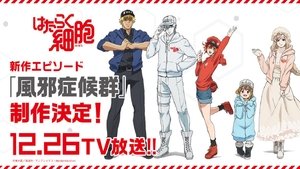 Hataraku Saibou: Kaze Shoukougun