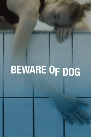 Poster Beware of Dog 2020