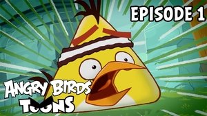 Angry Birds Toons Chuck Time