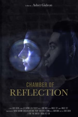 Poster di Chamber of Reflection