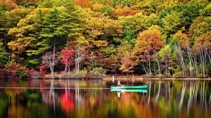 Living Landscapes: Fall In New England