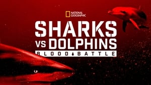 Sharks vs. Dolphins: Blood Battle