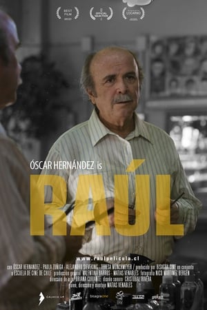 Poster Raúl 2015