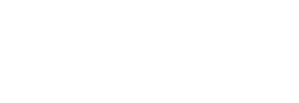 SPRIGGAN — Logos 8