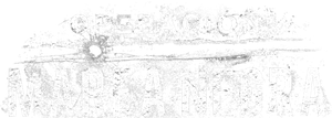 Operación Marea Negra