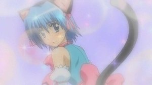 Hayate No Gotoku: 1×8