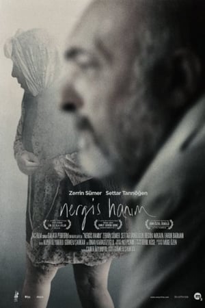 Poster Mrs Nergis (2014)