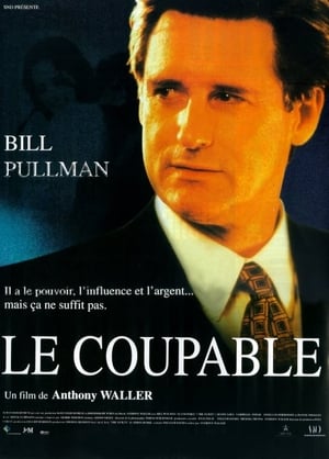 Poster Le Coupable 2000