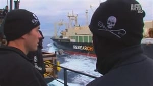 Whale Wars Boiling Point