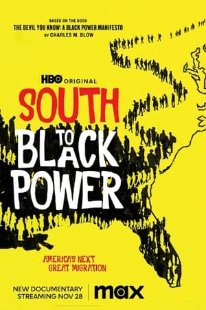 affiche du film South to Black Power
