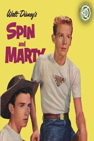 The Further Adventures of Spin and Marty poster