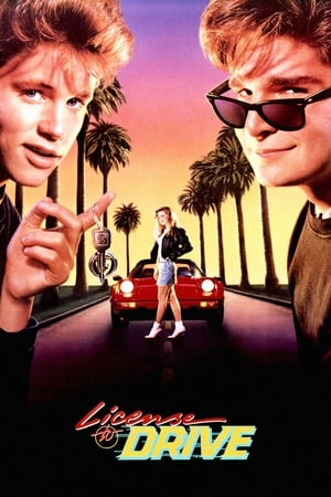 Image License to Drive