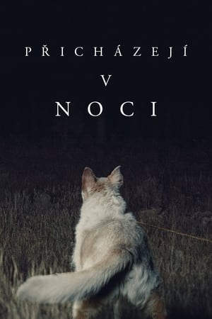 Přicházejí v noci 2017