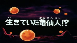 Dragon Ball - Dragon Ball - Saison 1 - Tortue Géniale réapparaît - image n°1
