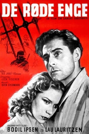 Poster Red Meadows (1945)