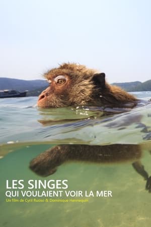 Poster Les singes qui voulaient voir la mer (2020)