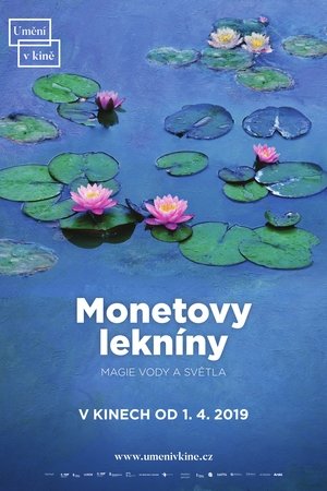 Monetovy lekníny - magie vody a světla