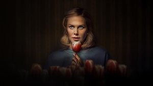 Holland (2025) ฮอลแลนด์ เมืองหลอนซ่อนความลับ