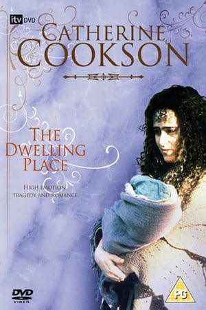 Poster The Dwelling Place 1994