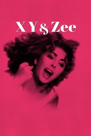 Poster Zee and Co. 1971