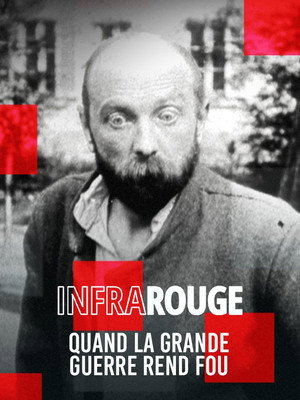 Quand la Grande Guerre rend fou