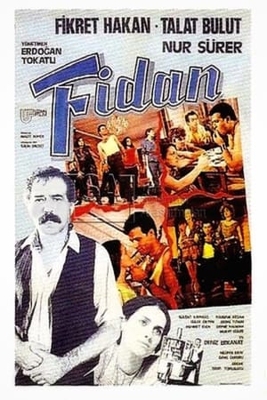 Poster Fidan (1984)