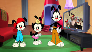 Animaniacs (2020) Temporada 1 Capitulo 10