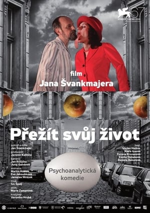 Image Přežít svůj život