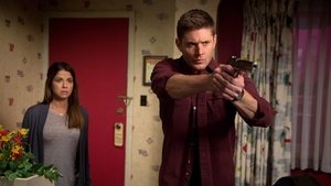 Supernatural 11 x 13