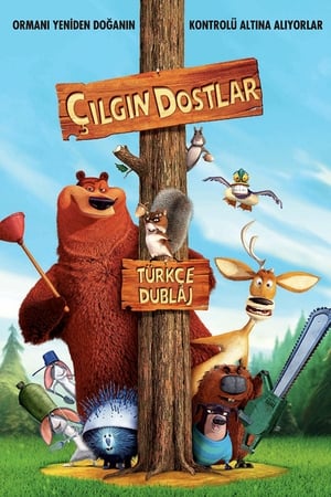 Poster Çılgın Dostlar 2006