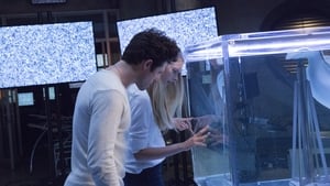 Stitchers: 3×7