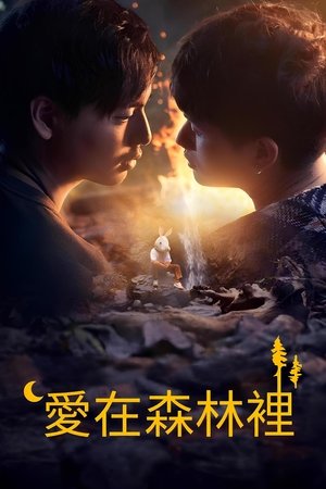 Image 爱在森林里