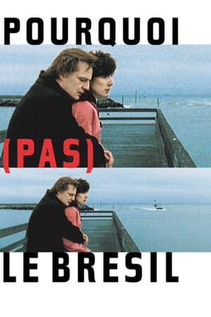 Pourquoi (pas) le Brésil (2004)