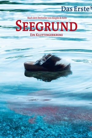 Seegrund poster