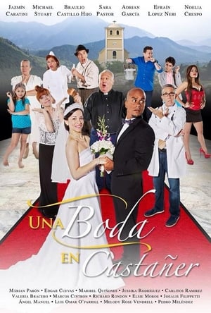 Poster A Wedding in Castañer (2015)