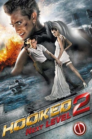 Poster Hooked on the Game 2. The Next Level (2010)