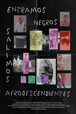 We entered as blacks, and we left as afrodescendants