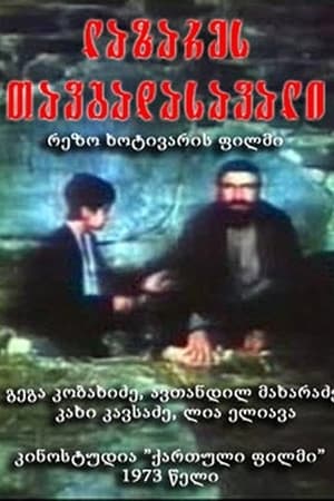 Poster di Lazares tavgadasavali