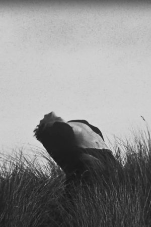 Nonton film Anders (1970) terbaru sub indo Nonton film Anders (1970) terbaru sub indo
